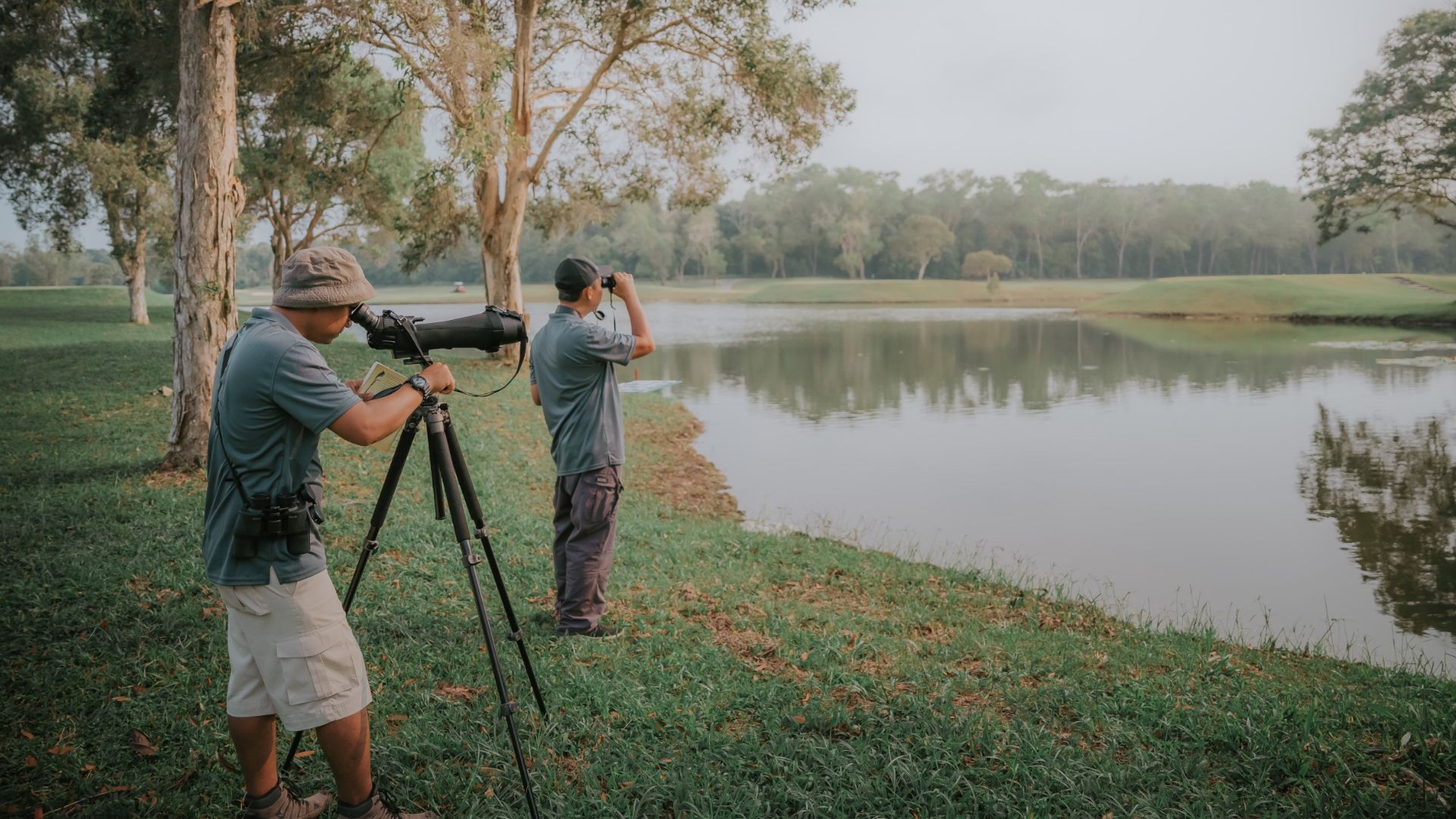 bird watching at laguna bintan